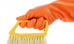 Etiam commodo convallis