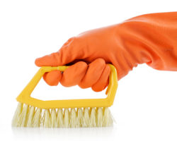 Etiam commodo convallis