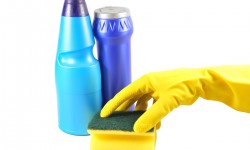 Etiam dictum egestas