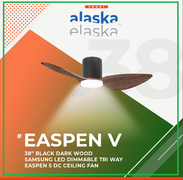 EASPEN V 38 BDW