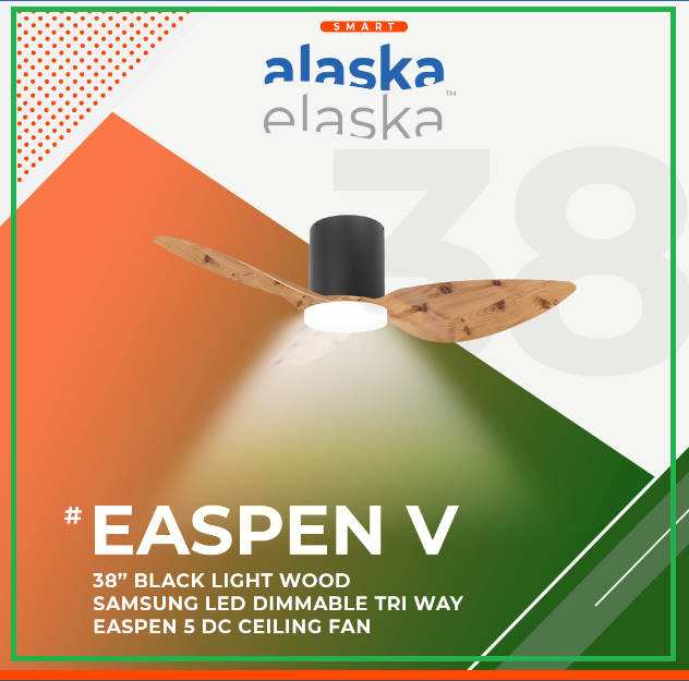 EASPEN V 38 BLW