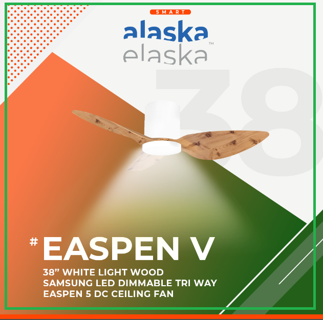 EASPEN V 38 WLW