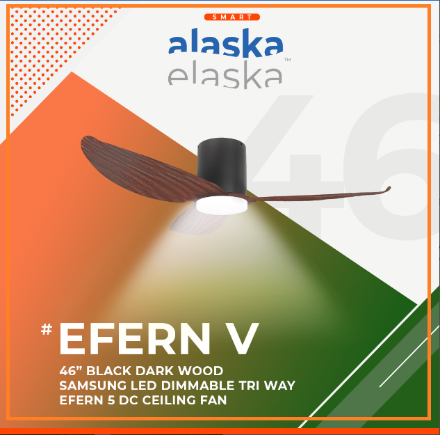 EFERN V 46 BDW