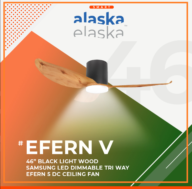 EFERN V 46 BLW