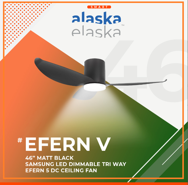 EFERN V 46 MB