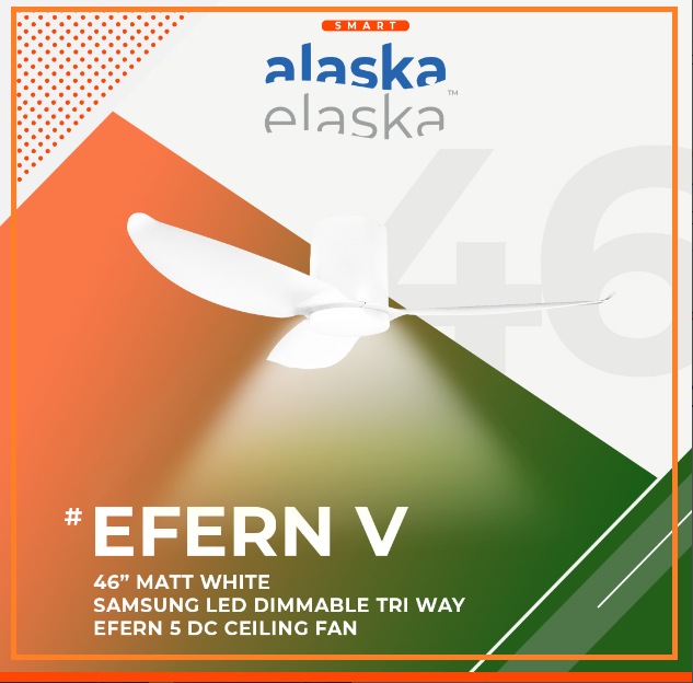 EFERN V 46 MW