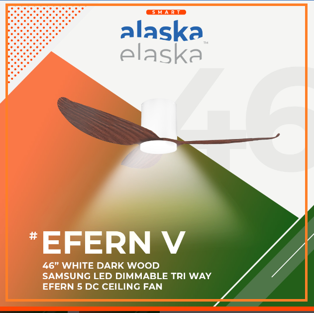 EFERN V 46 WDW