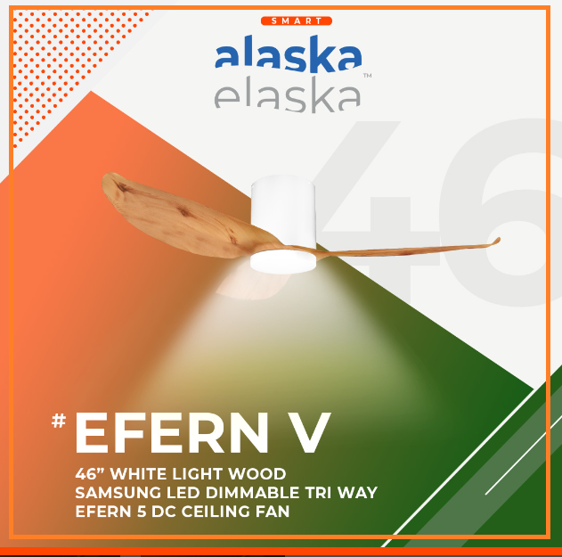 EFERN V 46 WLW