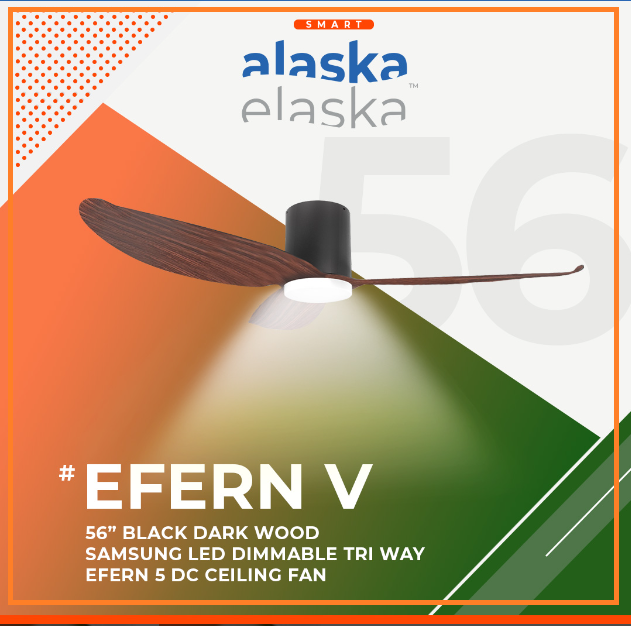 EFERN V 56 BDW
