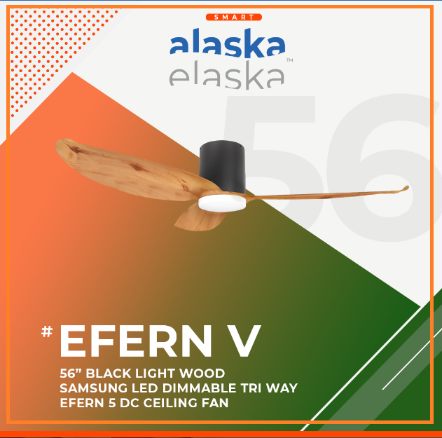 EFERN V 56 BLW