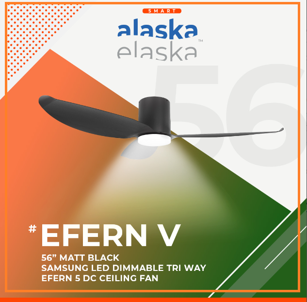EFERN V 56 MB