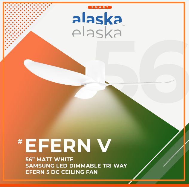 EFERN V 56 MW