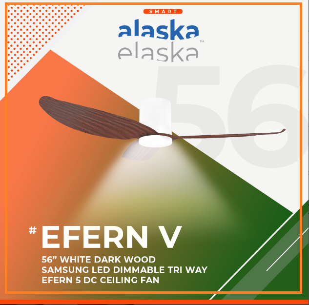 EFERN V 56 WDW