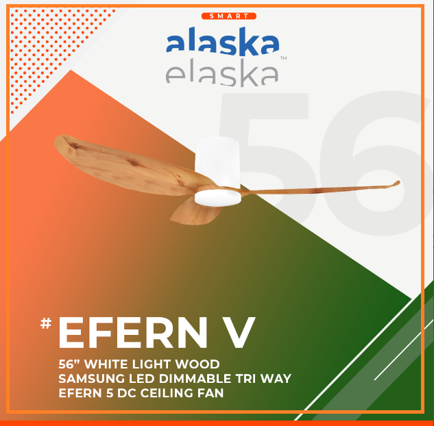 EFERN V 56 WLW