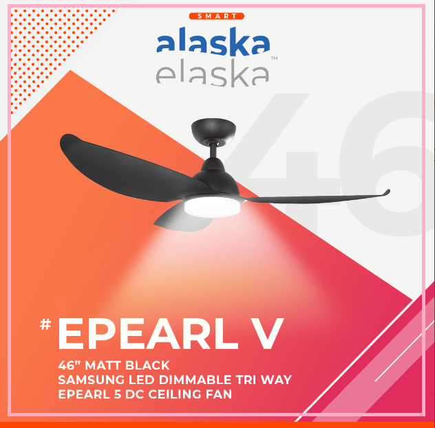 EPEARL V 46 MB