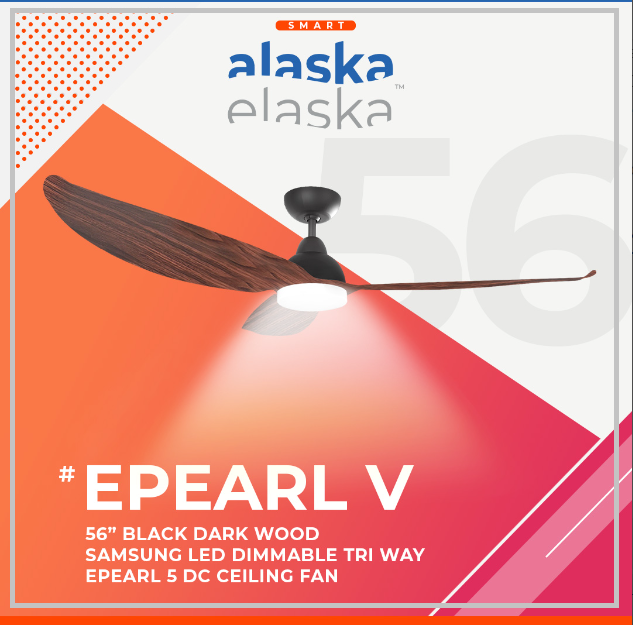 EPEARL V 56 BDW