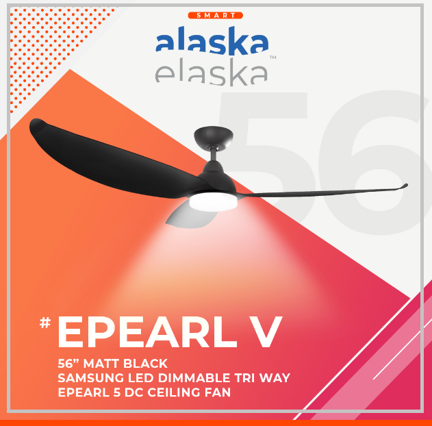 EPEARL V 56 MB